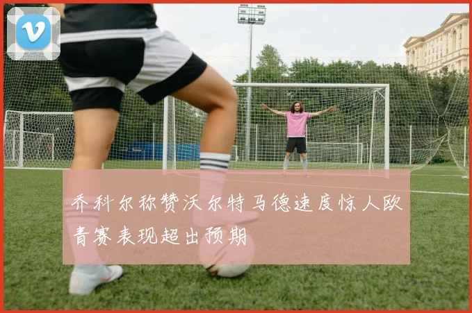 乔科尔称赞沃尔特马德速度惊人欧青赛表现超出预期
