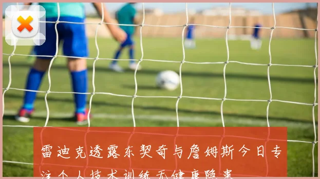 雷迪克透露东契奇与詹姆斯今日专注个人技术训练无健康隐患