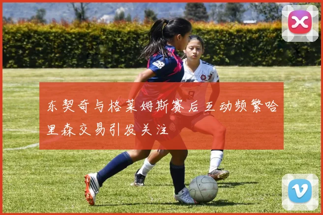 东契奇与格莱姆斯赛后互动频繁哈里森交易引发关注