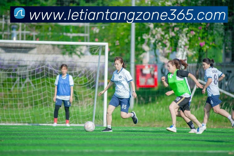 多媒体互动体验